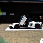 Lamborghini-Aventador-SV-21-of-50-Custom