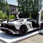 Lamborghini-Aventador-SV-31-of-50-Custom